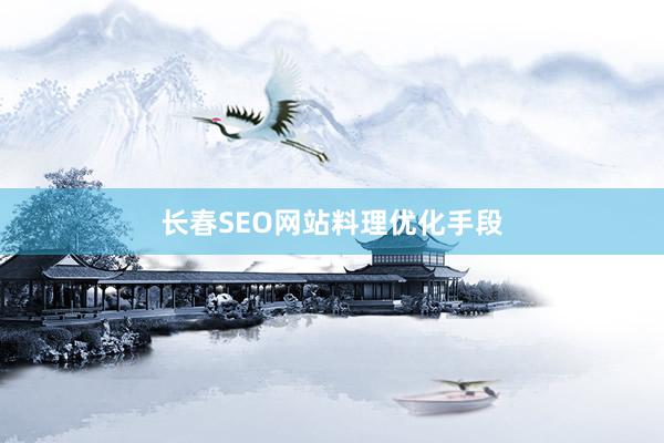 长春SEO网站料理优化手段