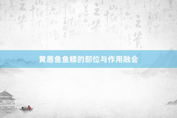 黄唇鱼鱼鳔的部位与作用融会